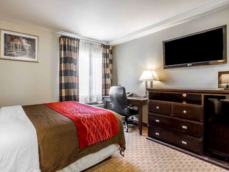 A neatly arranged hotel room features a single bed with red and brown bedding, a desk with a chair, a TV mounted on the wall, and a chest of drawers.