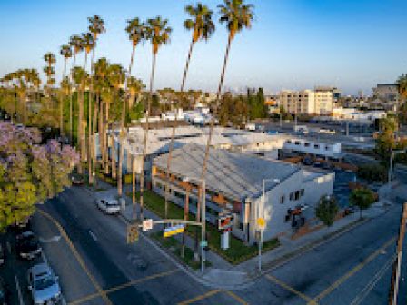 An aerial view of an intersection with tall palm trees lining the streets, surrounded by buildings and cars in an urban environment.